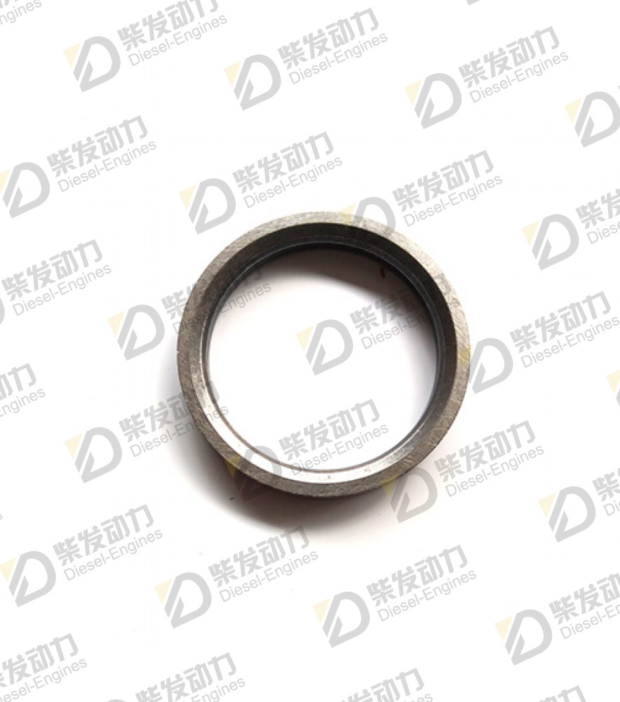 Valve seat, intake 20709467 
